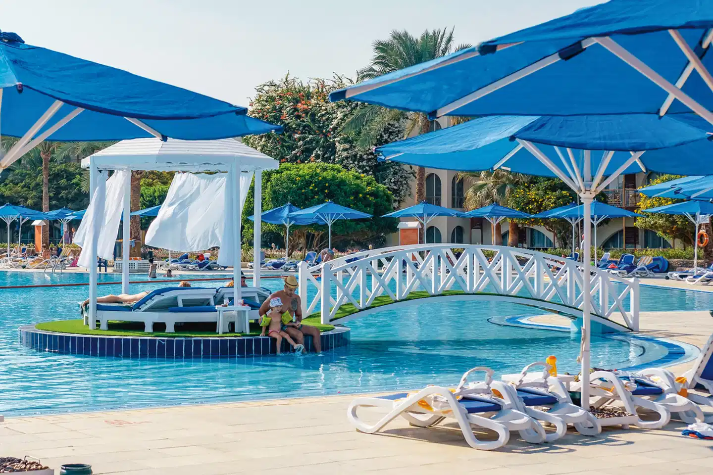 Desert Rose Pool