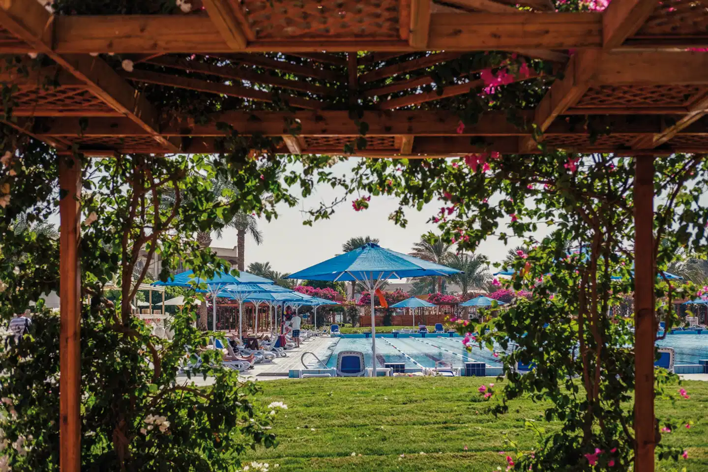 Desert Rose Garten