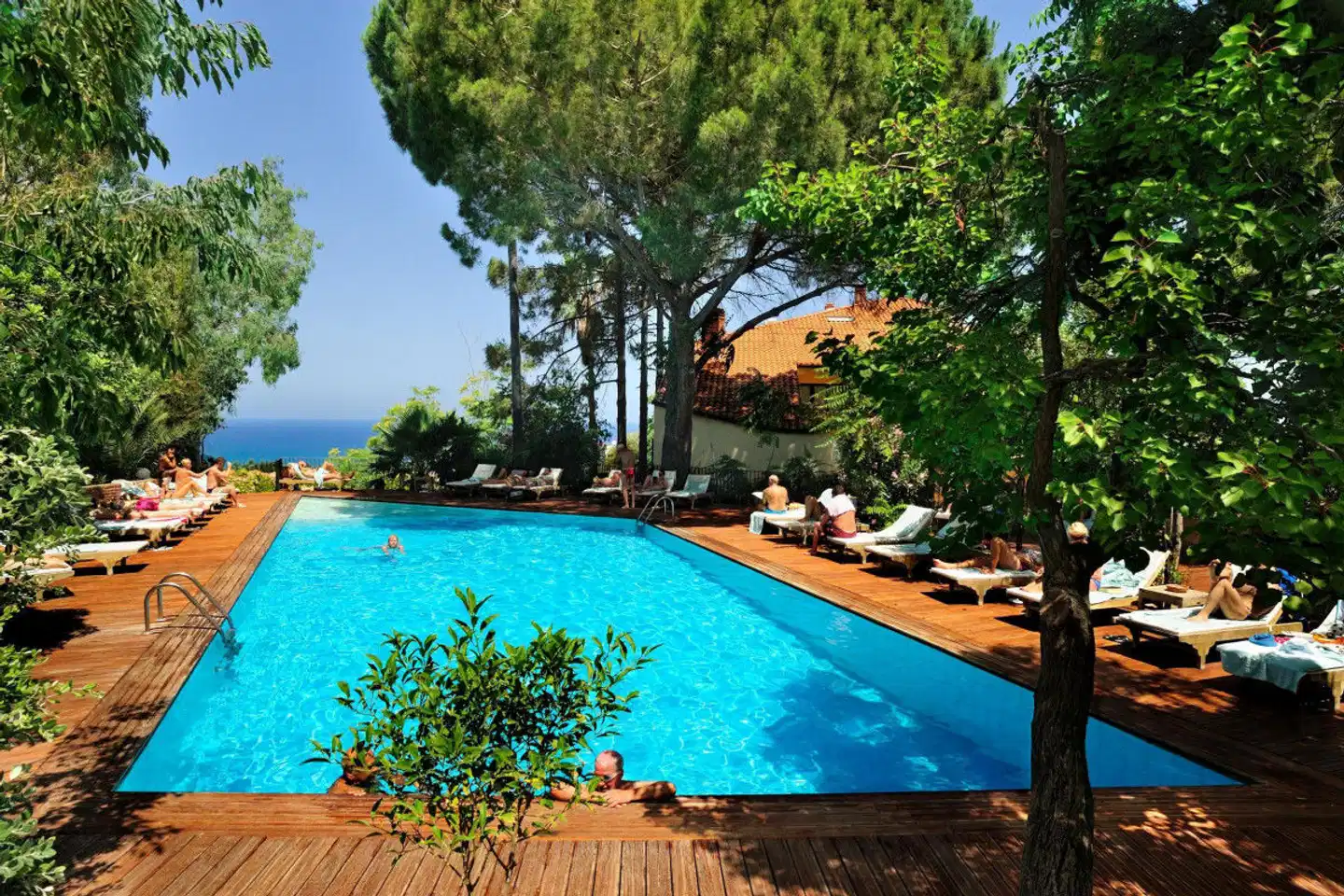 Alberi del Paradiso Pool