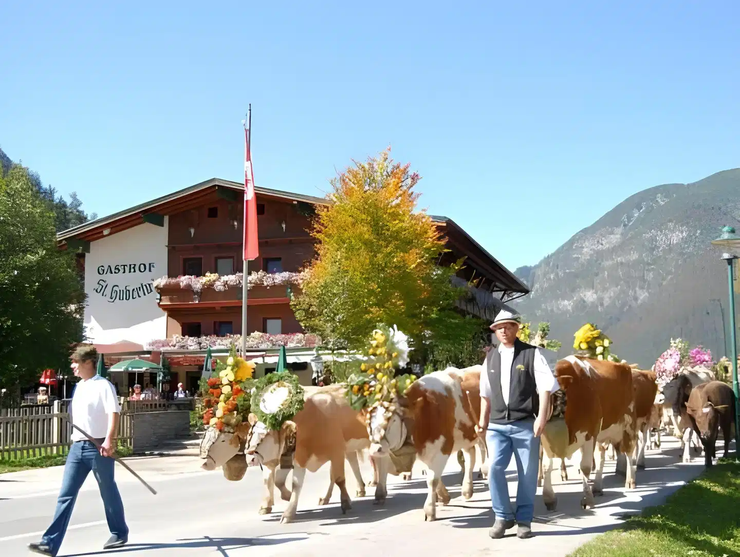 St. Hubertus Tiere