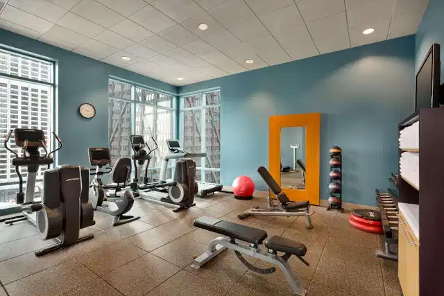 Hilton Chicago/Magnificent Mile Suites Sport und Entertainment