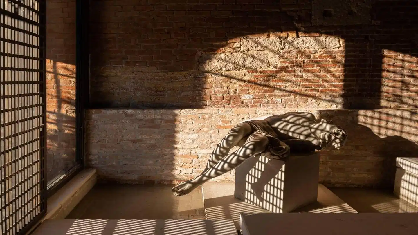 The Venice Venice Hotel Tiere