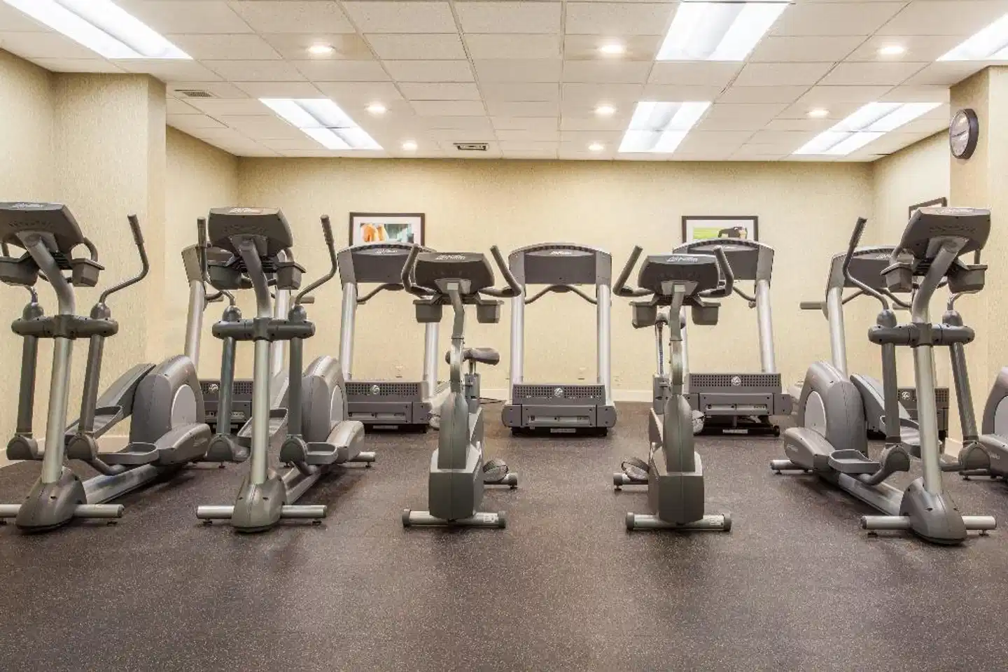 Holiday Inn Toronto International Airport Sport und Entertainment