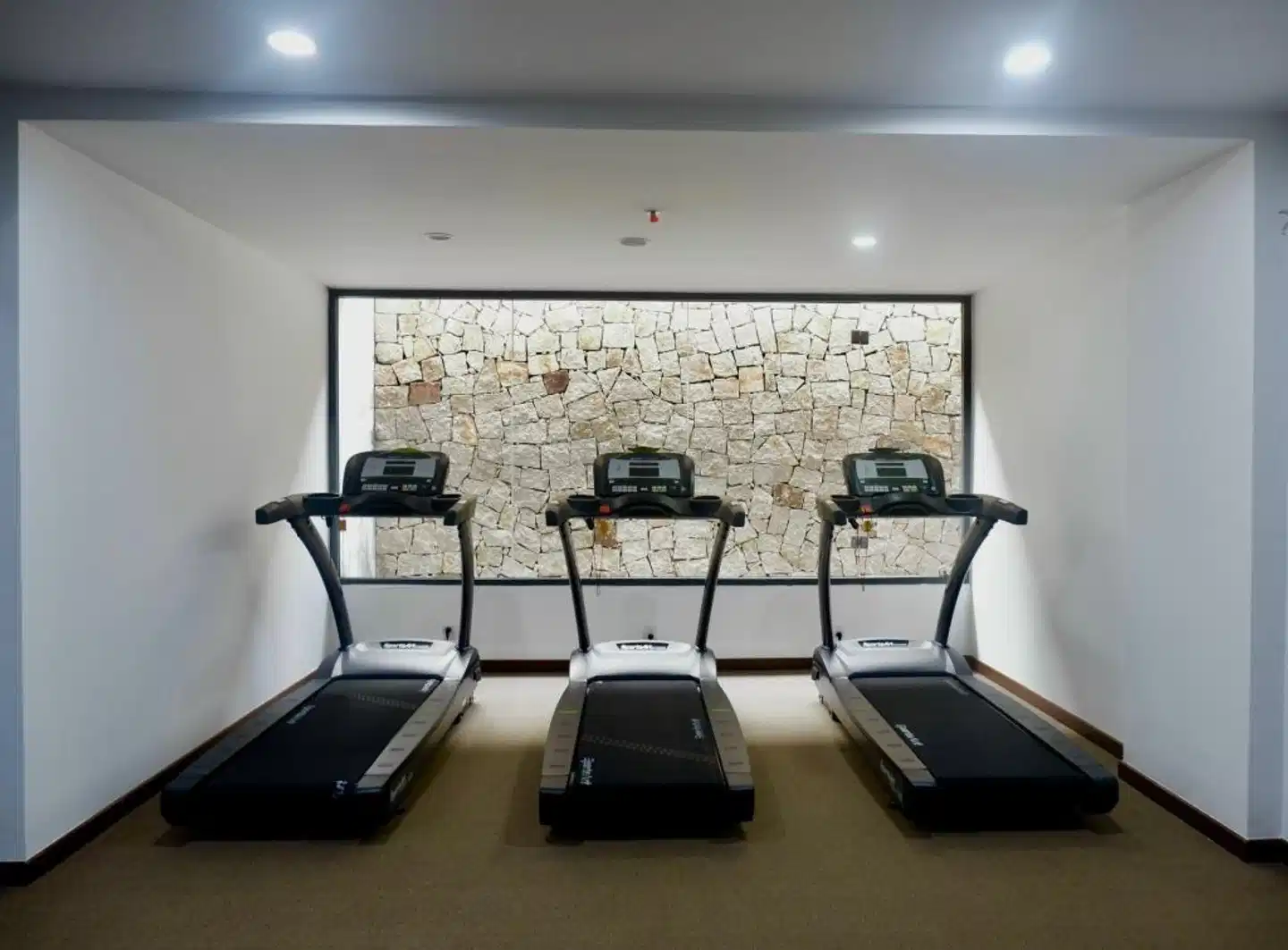 Alibu Resort Wellness
