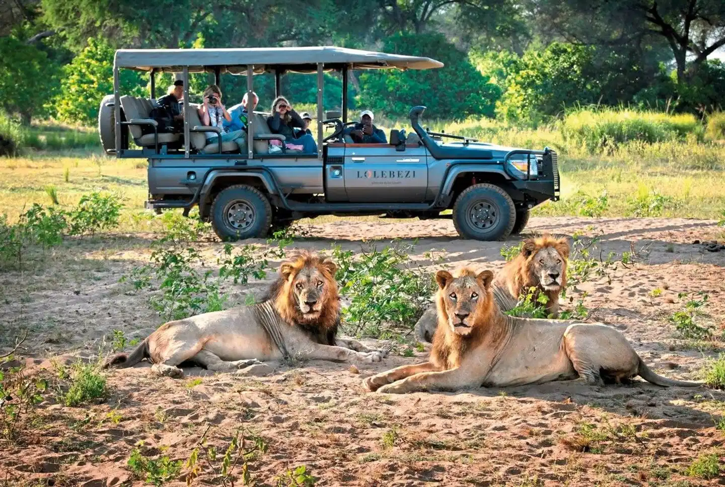 Lolebezi Tiere