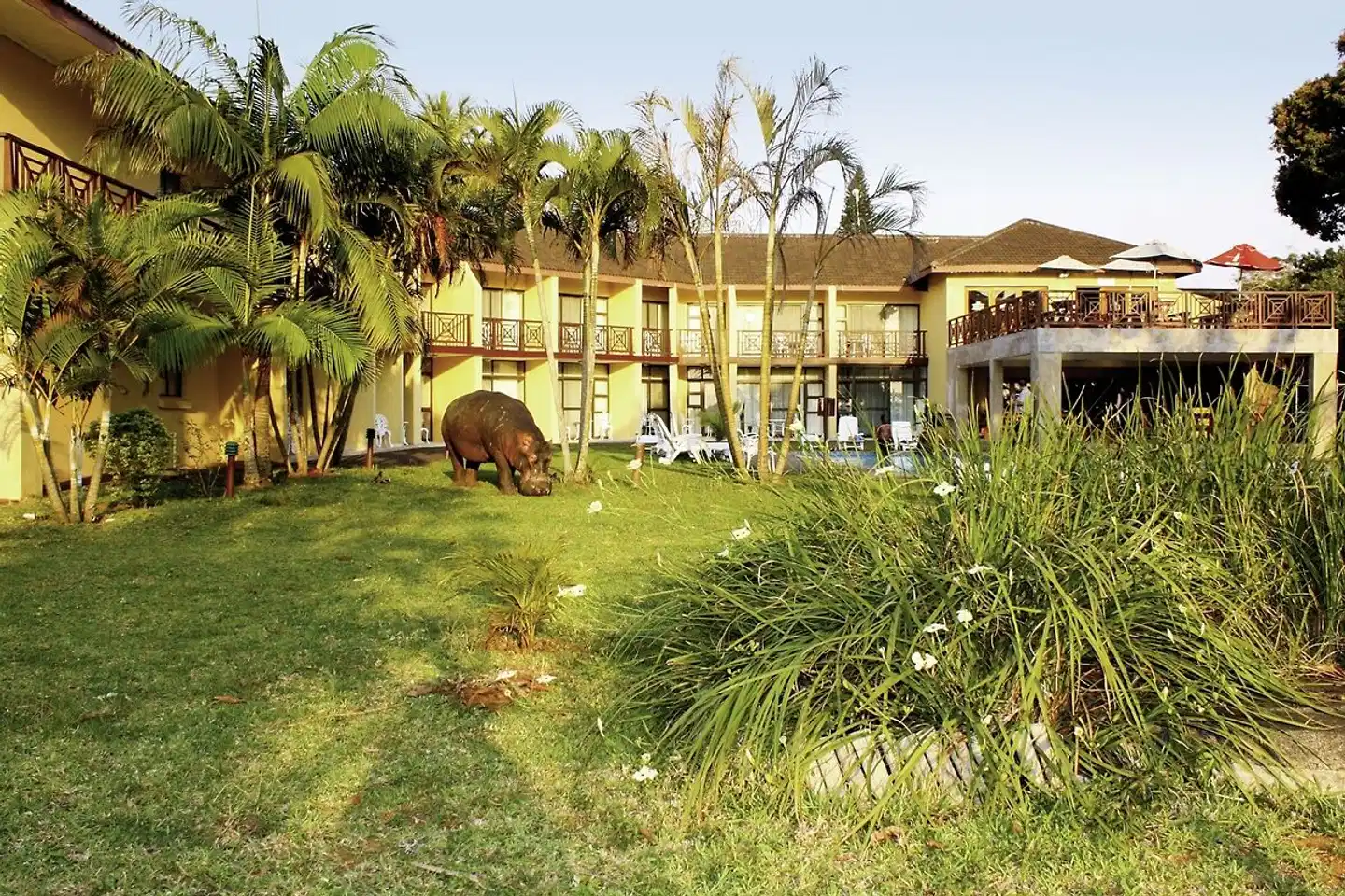 Elephant Lake Hotel Tiere