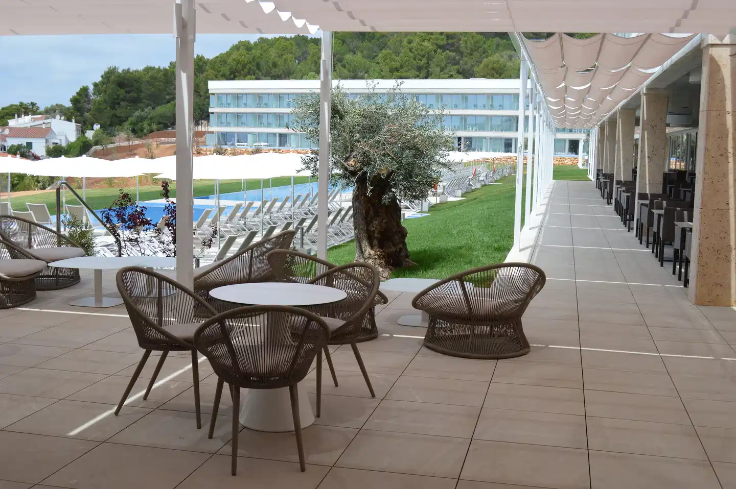 Hotel Seth 55 Santo Tomas Bar