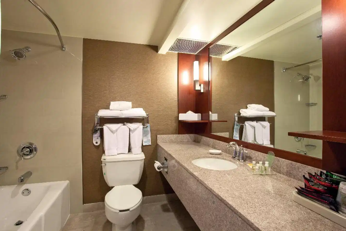 Holiday Inn Torrance Badezimmer