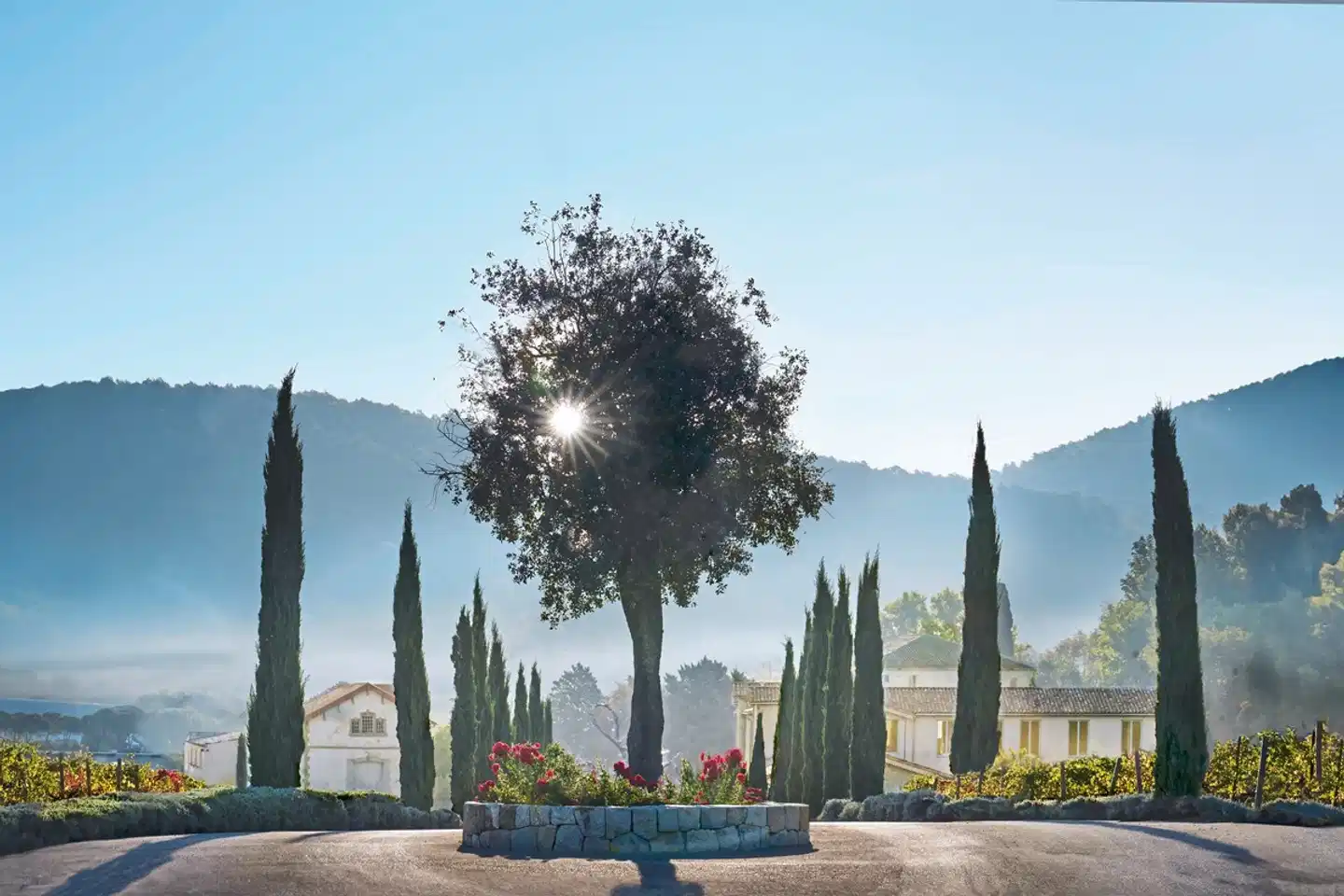 Auberge la Coste Landschaft