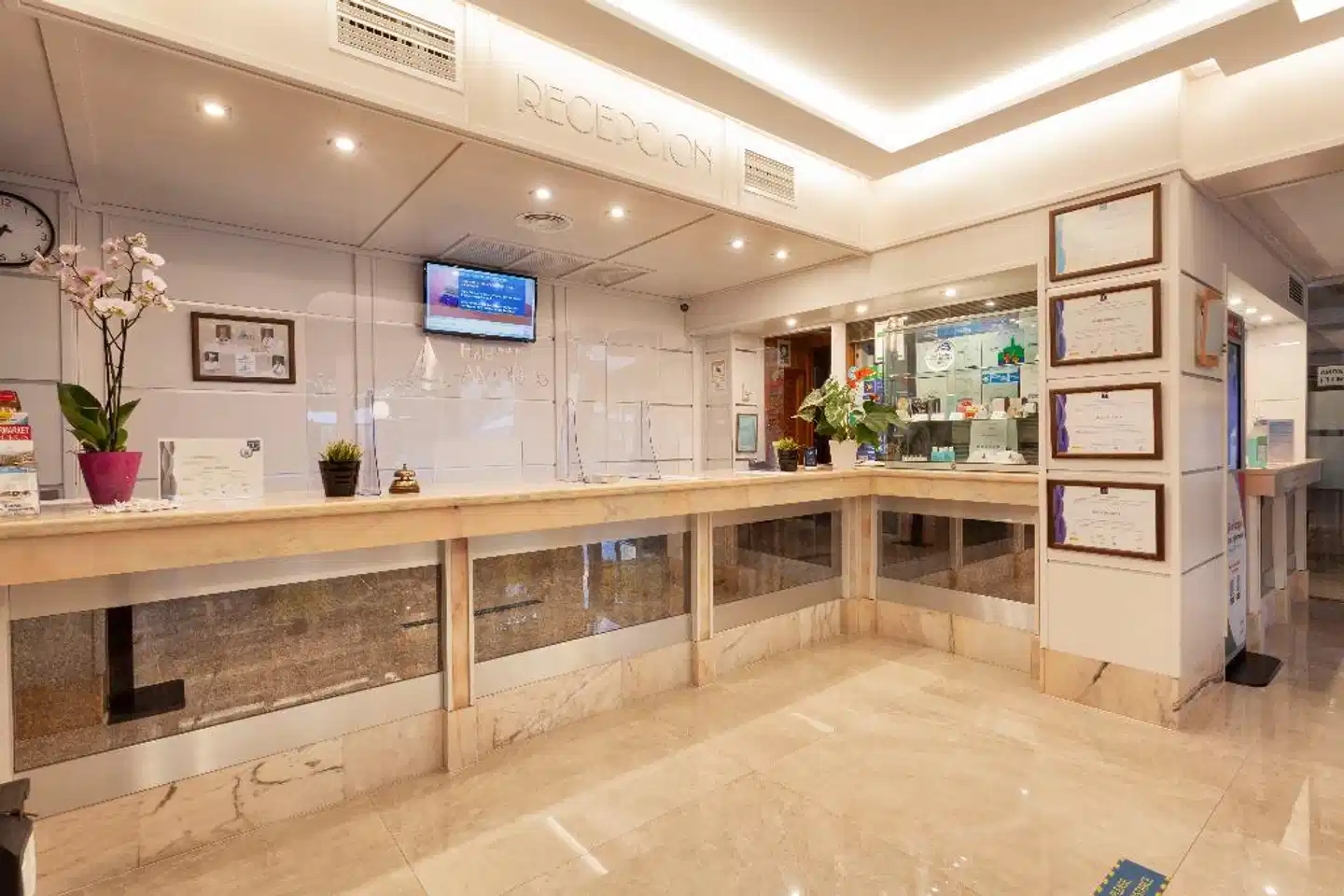 Amorós Bar