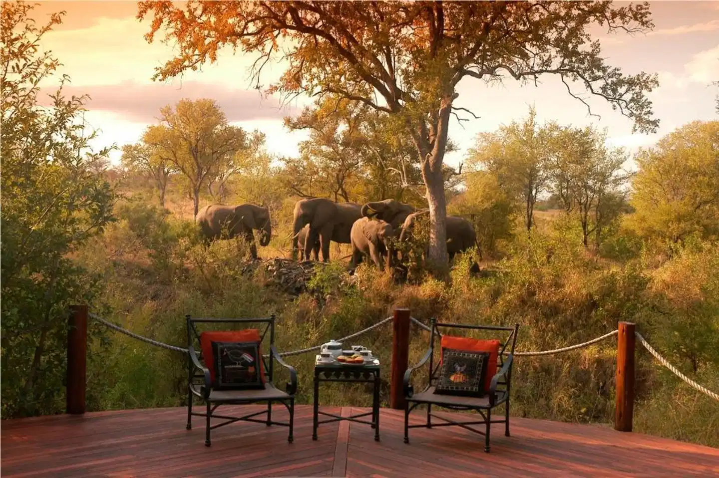 Hoyo Hoyo Safari Lodge Terrasse