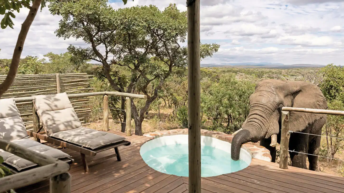 Elephants Crossing Lodge Wellness