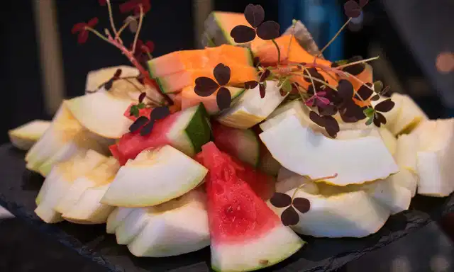 Thon Hotel Rosenkrantz Tiere