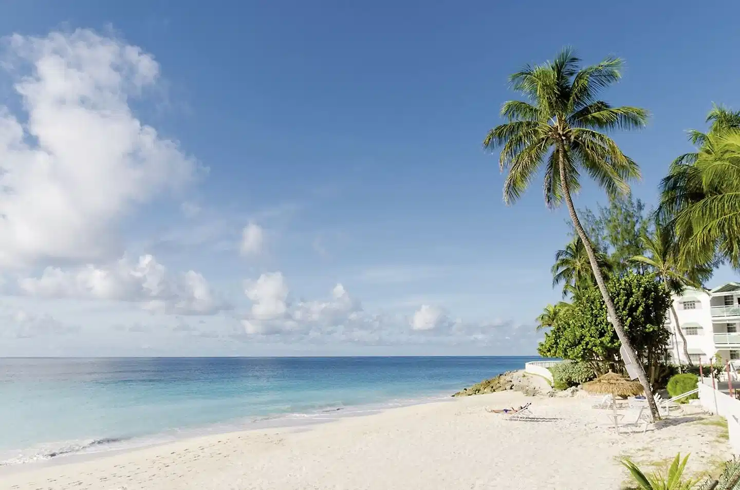 Bougainvillea Barbados Strand