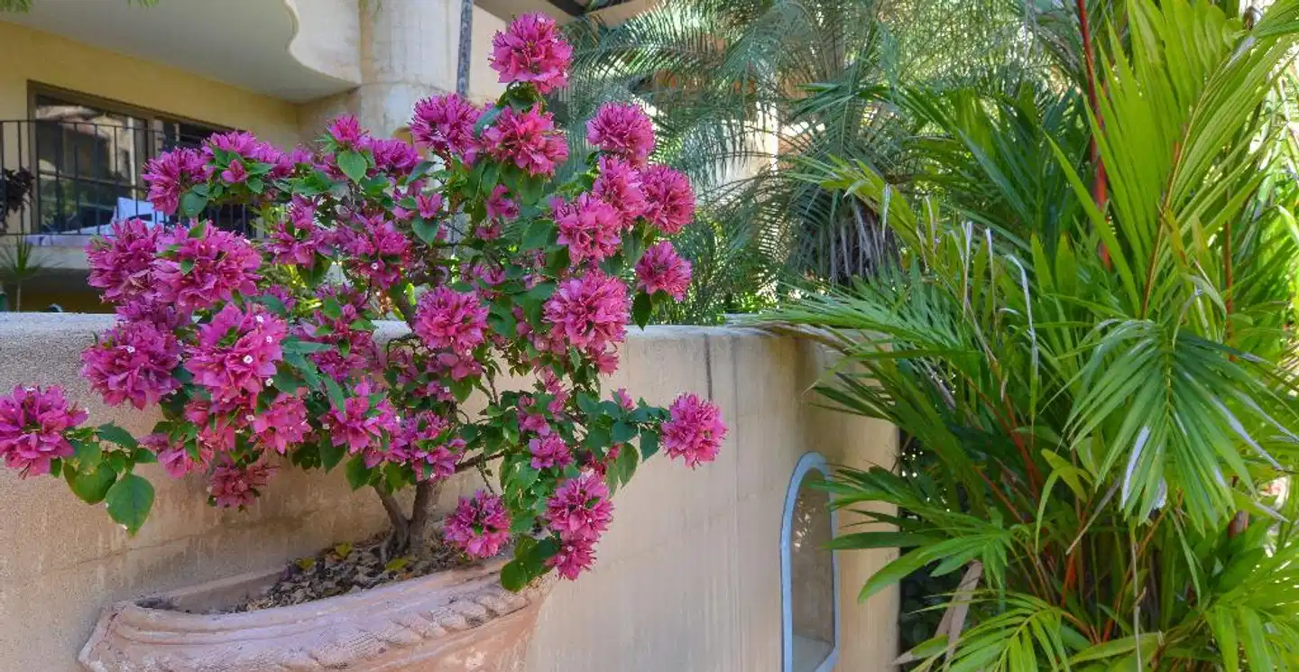 Villa San Michele Aussenansicht