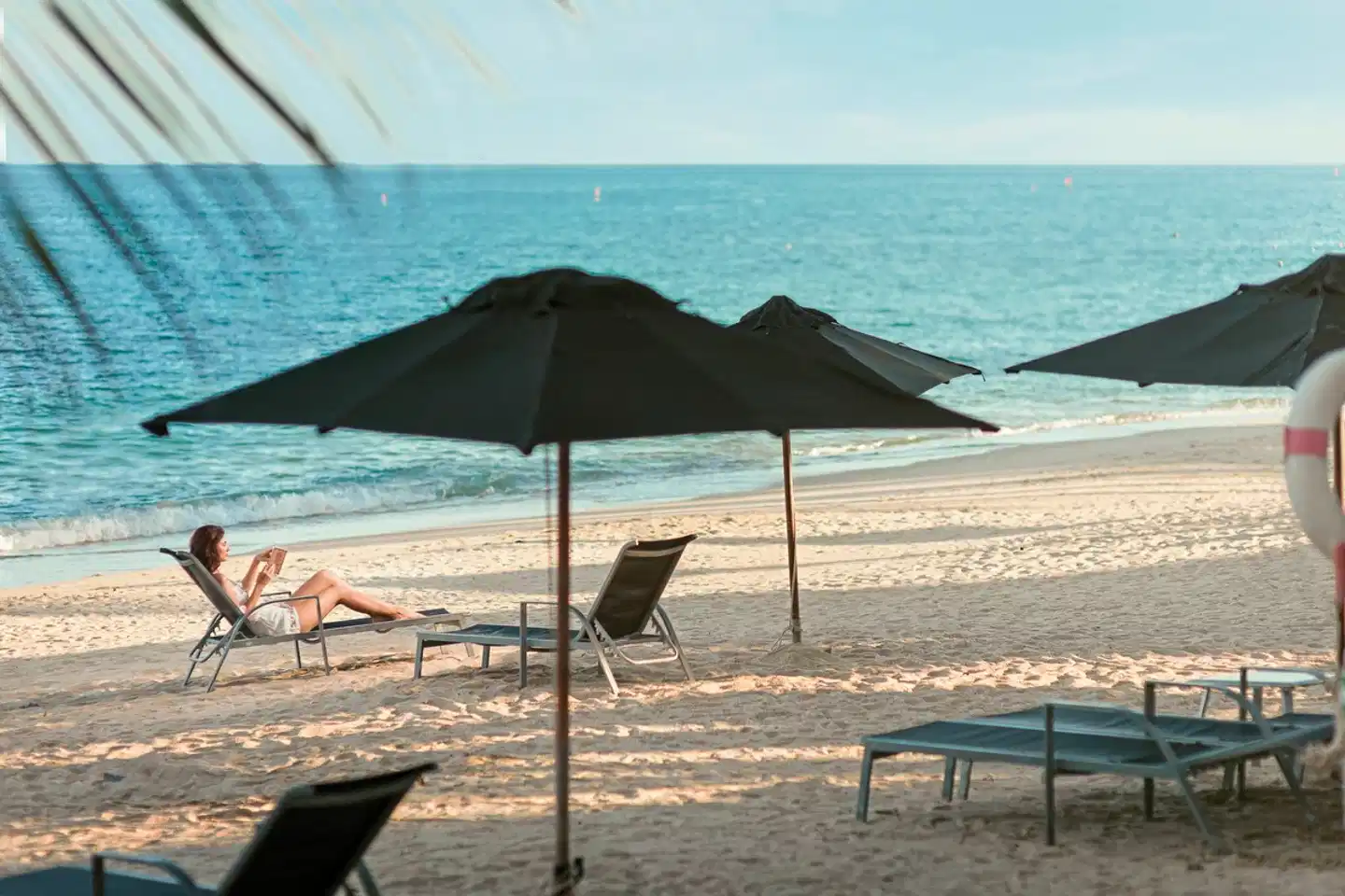 Pavilion Samui Villas & Resort Tiere