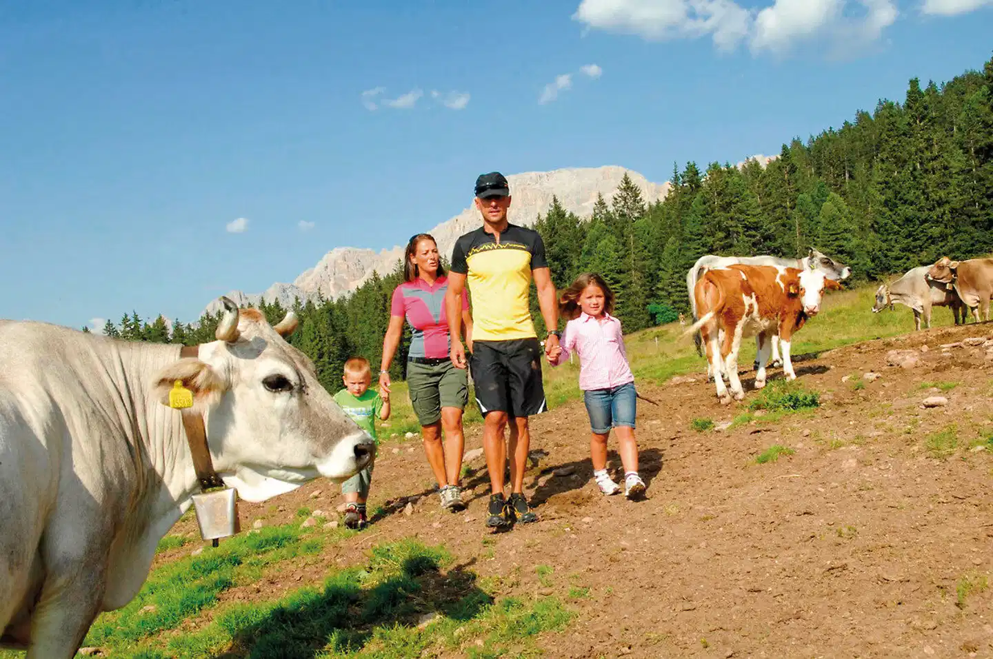 Active, Family & Wellness Hotel Shandranj Tiere