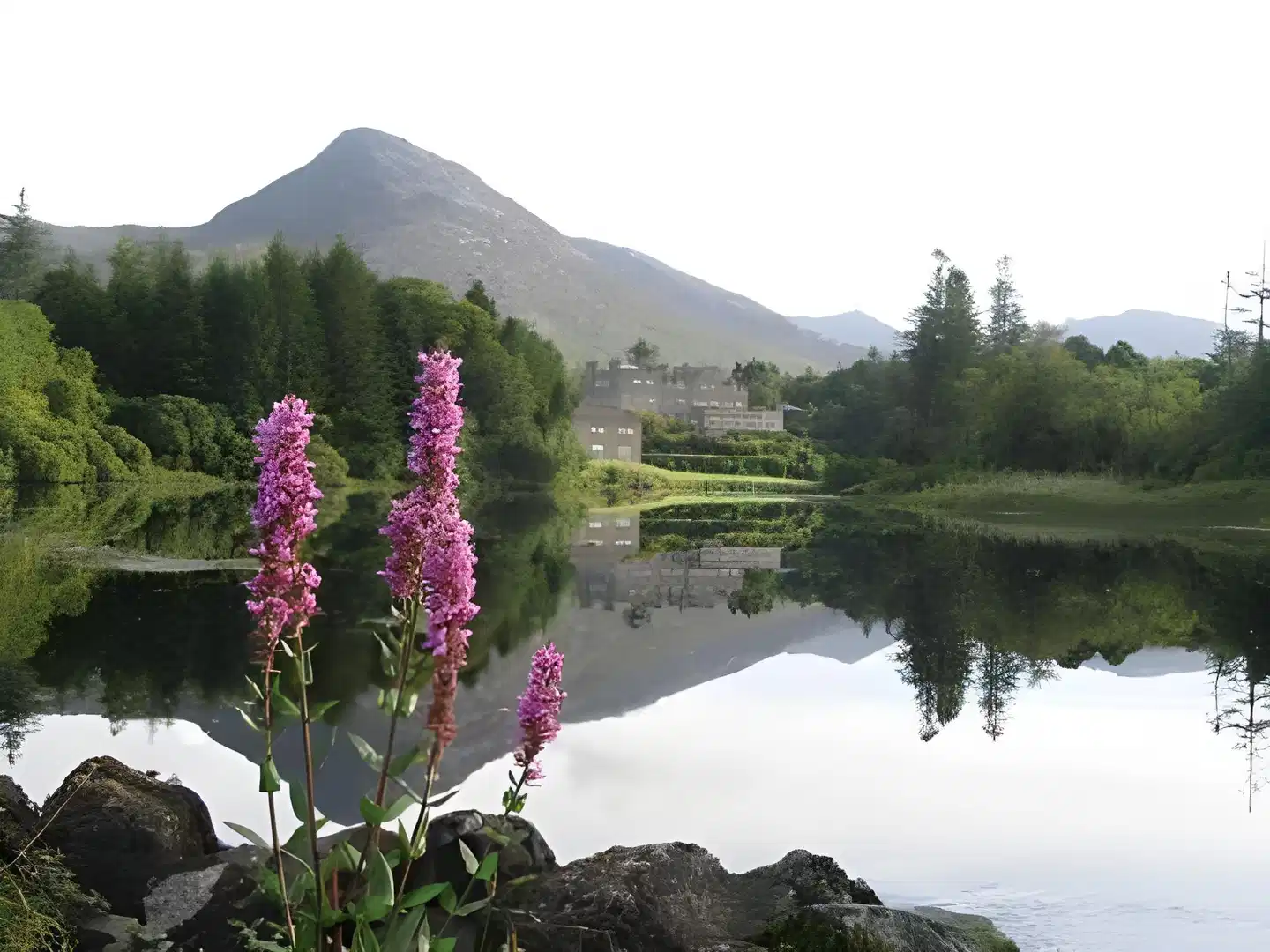 Ballynahinch Castle Hotel Garten