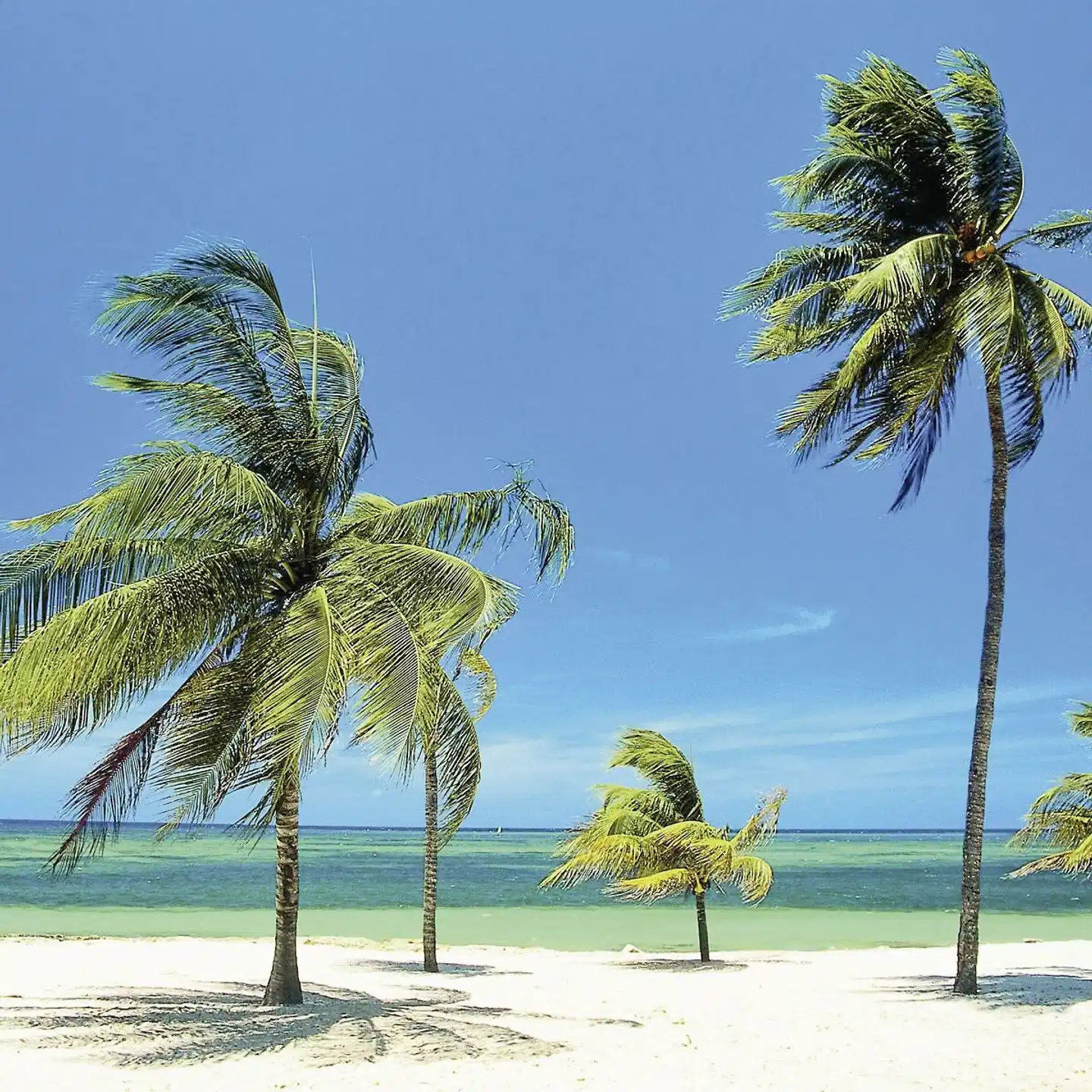 Playa Pesquero Strand