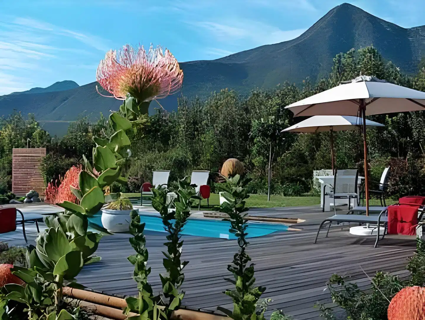 Tsitsikhaya Lodge Garten