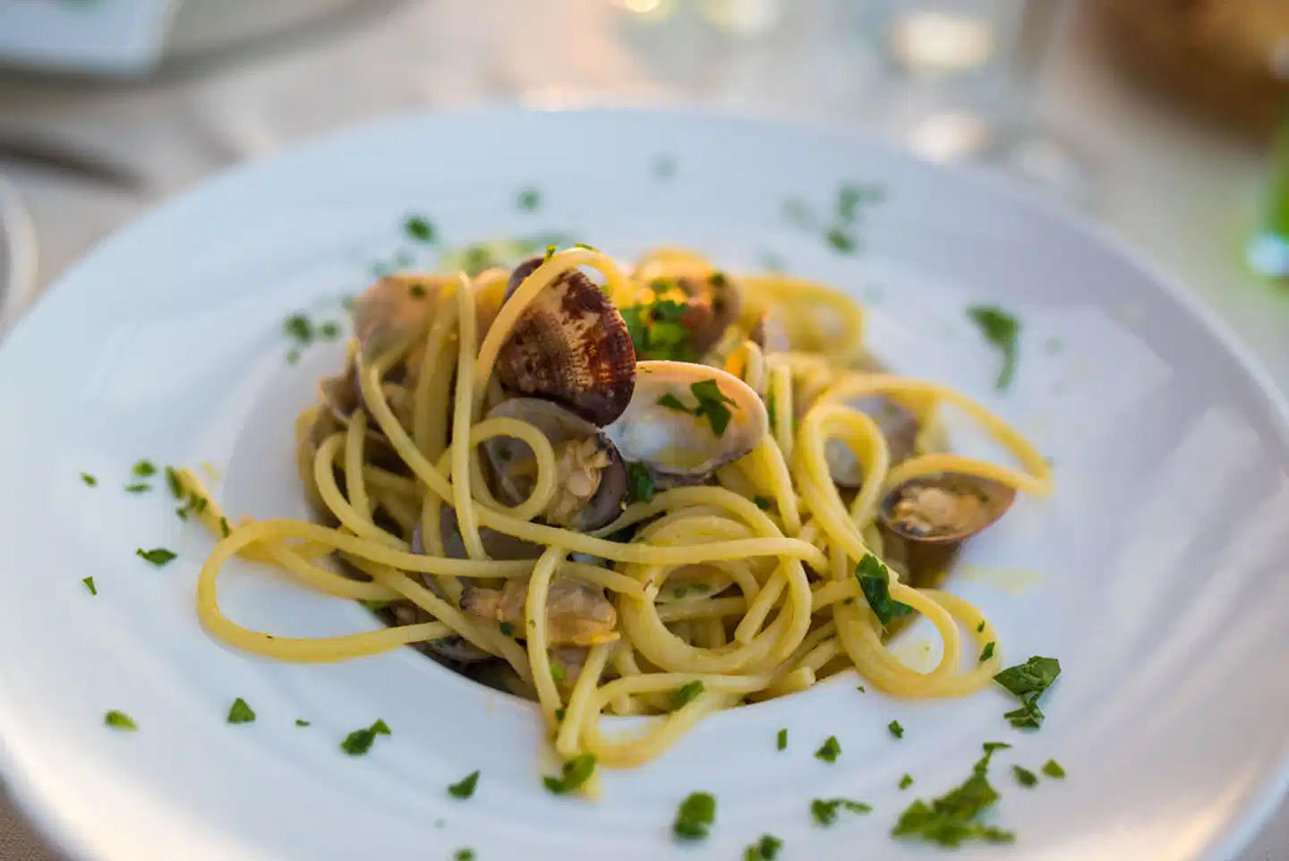 Bajaloglia Resort Restaurant