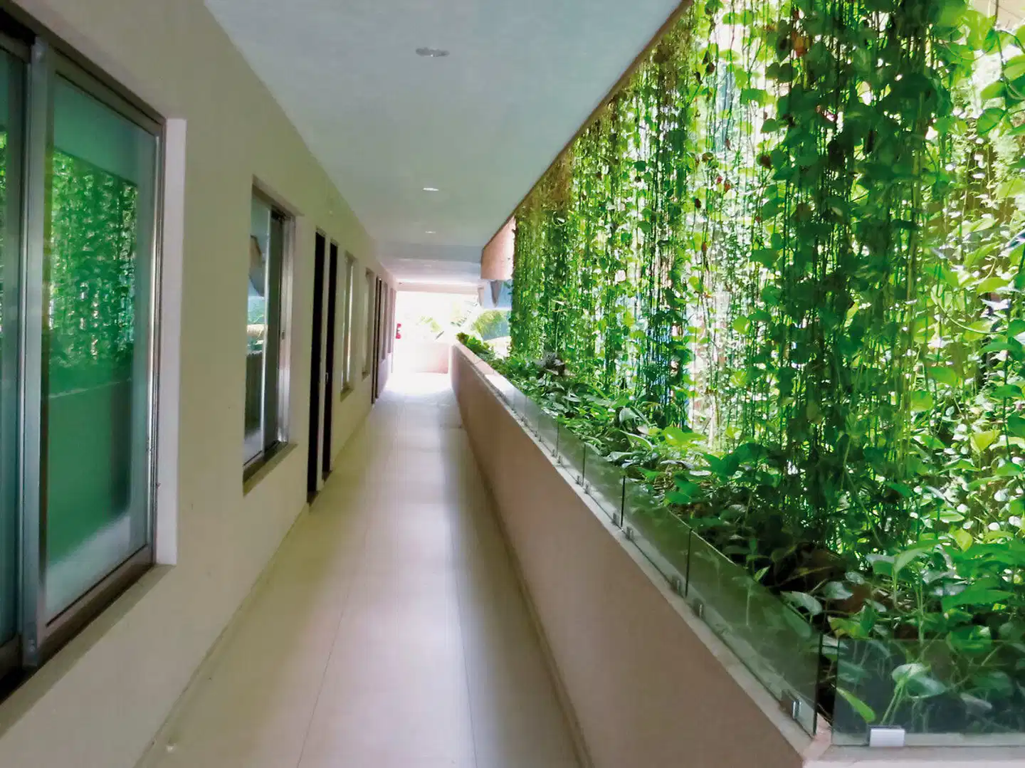 Palmarena & Condos by NAH Hotels Lobby