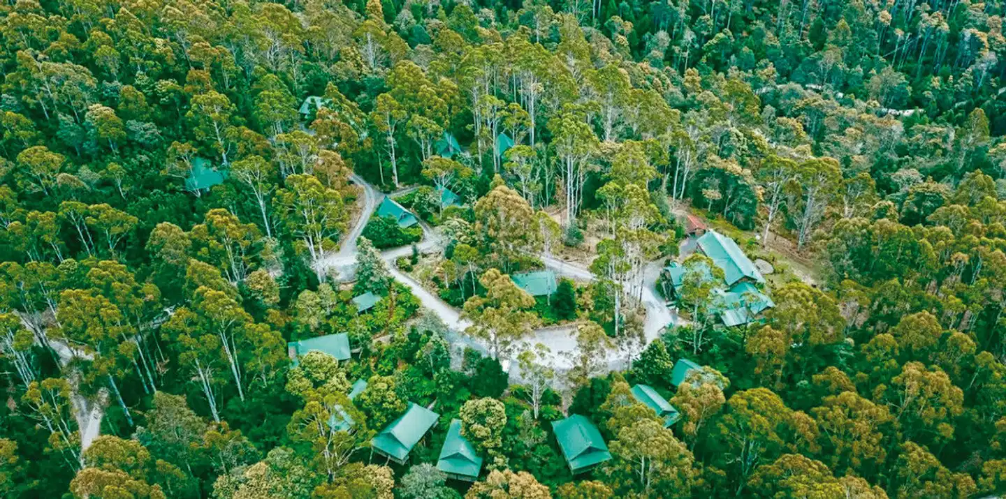 Lemonthyme Wilderness Retreat Landschaft