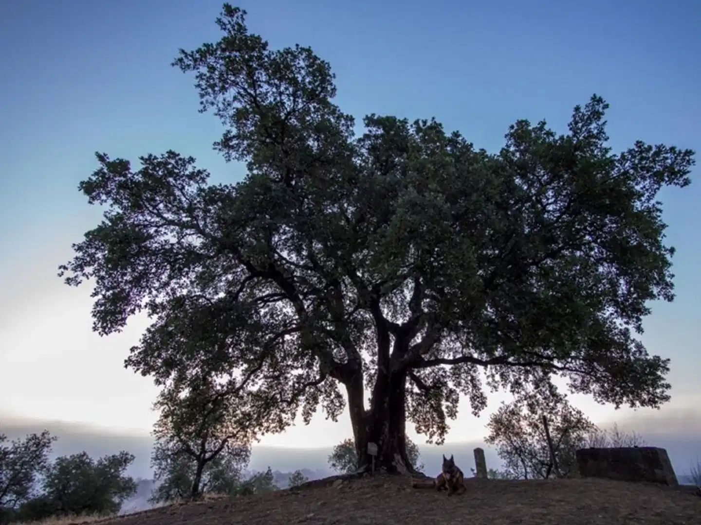 Montebelli Agriturismo & Country Hotel Landschaft