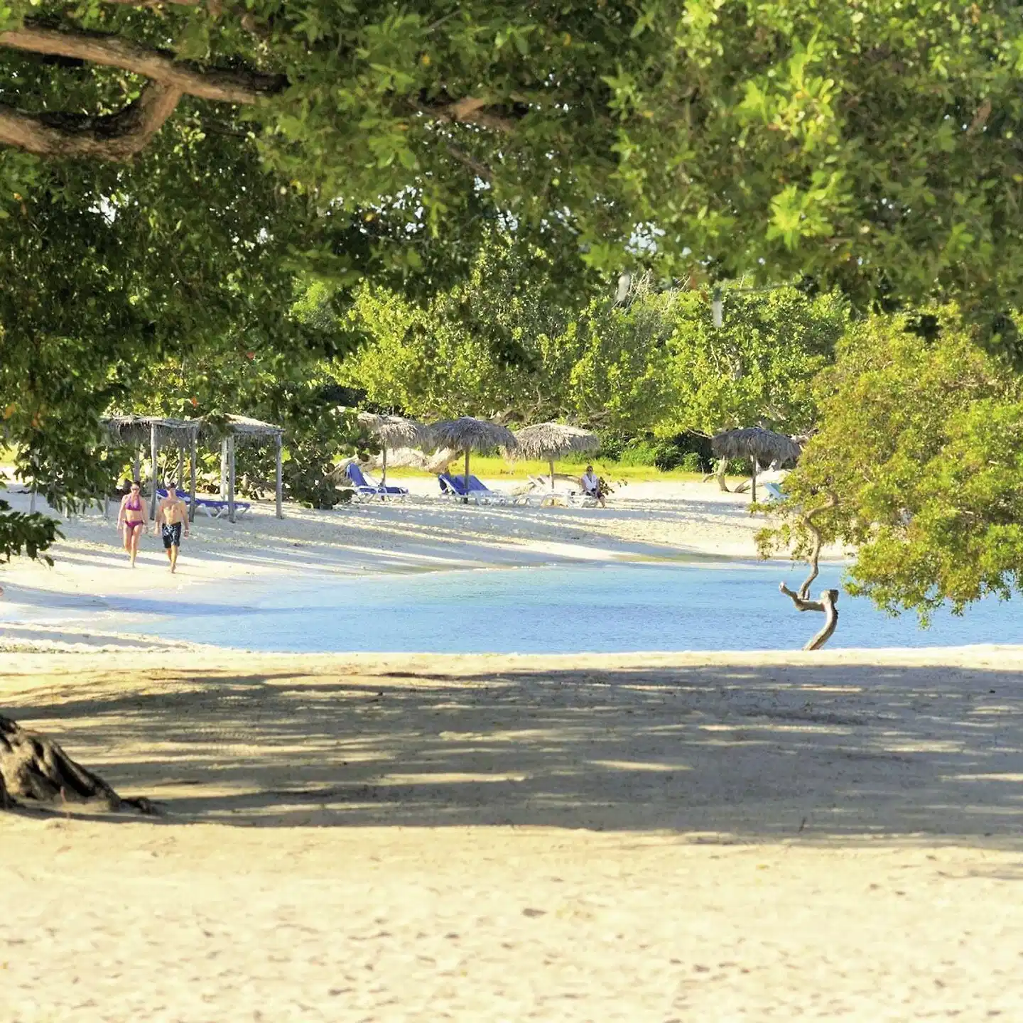 Playa Pesquero Strand