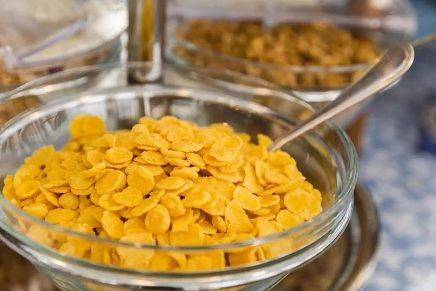 Terminus & Plaza Restaurant