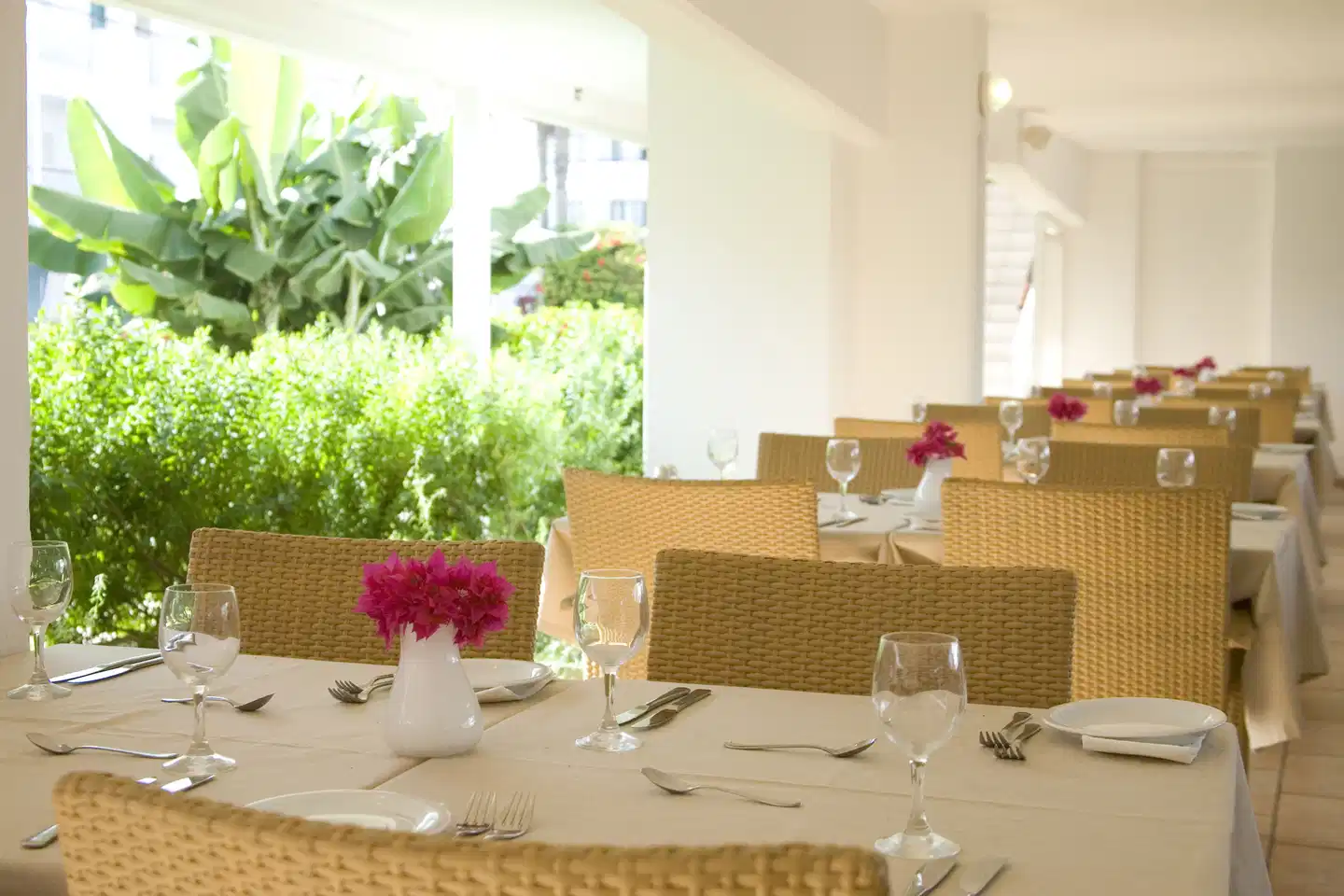 Nissi Park Restaurant