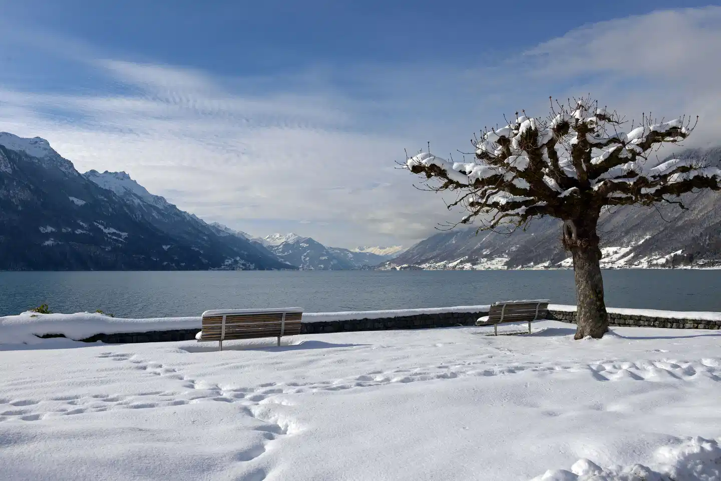 Hotel Brienz Landschaft