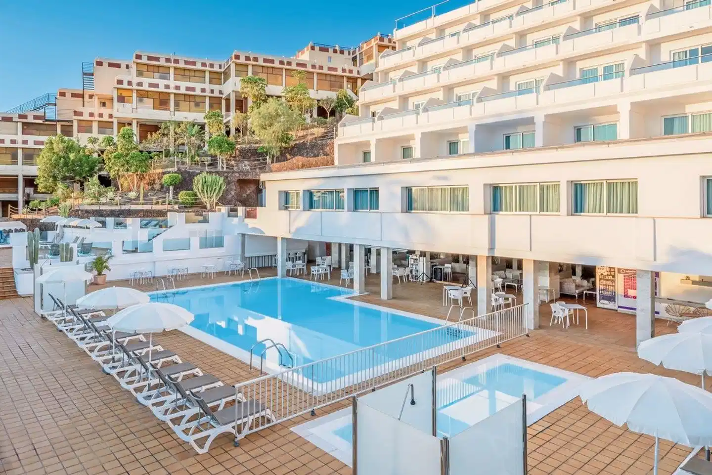 FERGUS Cactus Garden Pool