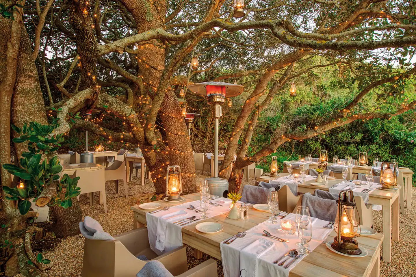 Grootbos Private Nature Reserve Restaurant