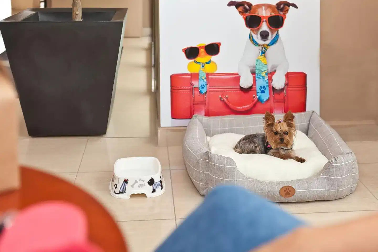 azuLine Mediterráneo Personen