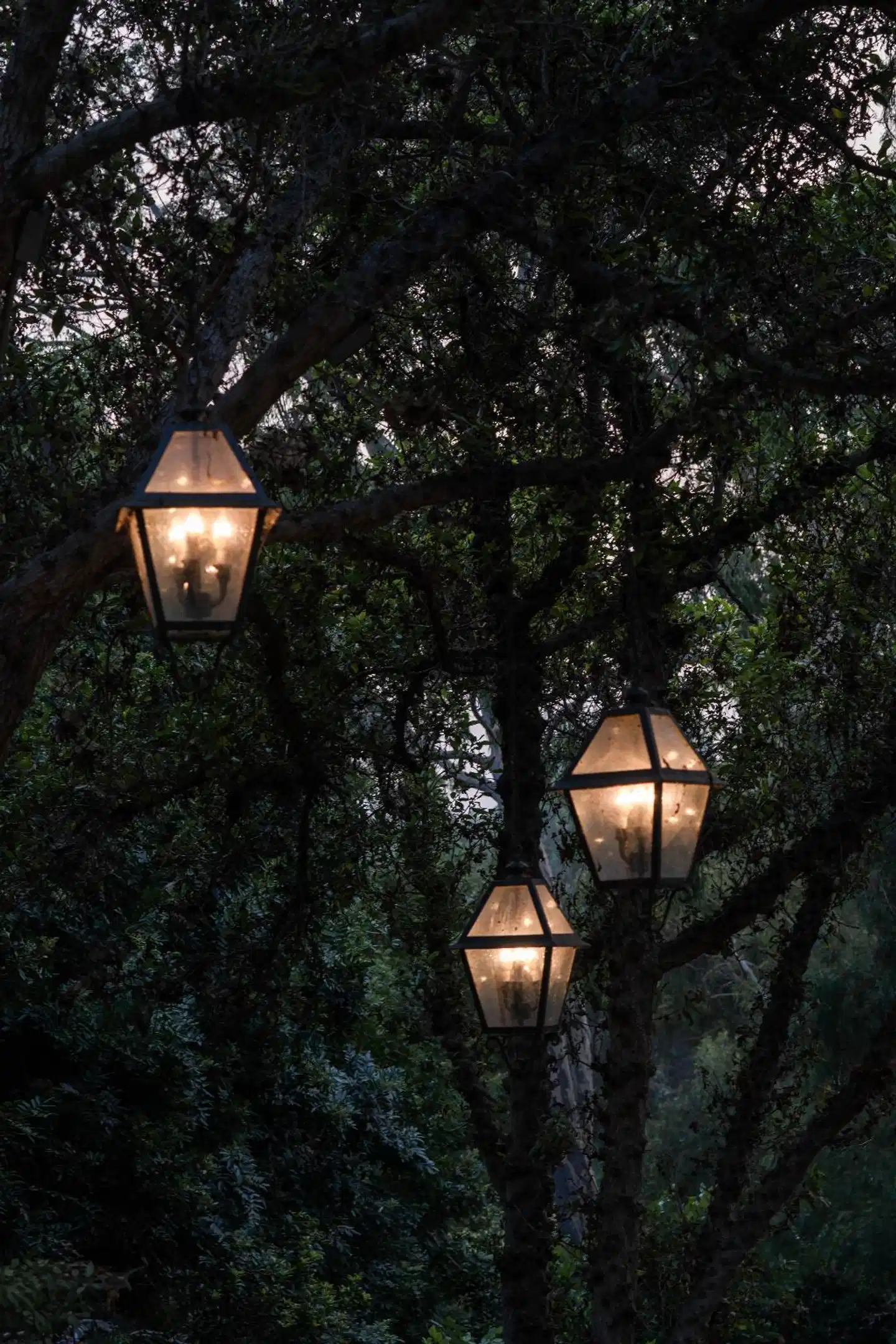 Rancho Bernardo Inn Garten