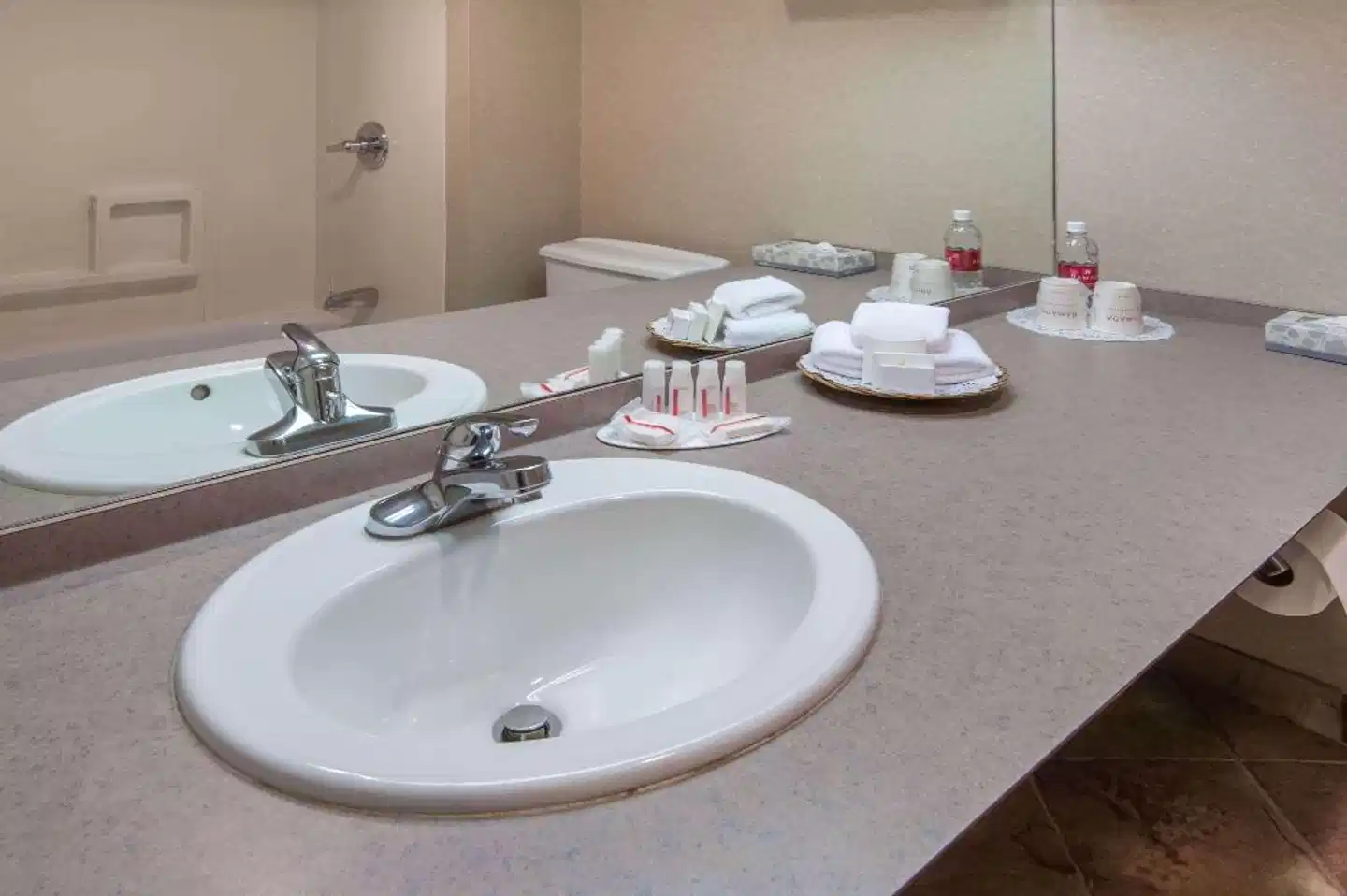 RAMADA PLAZA CALGARY DOWNTOWN Badezimmer