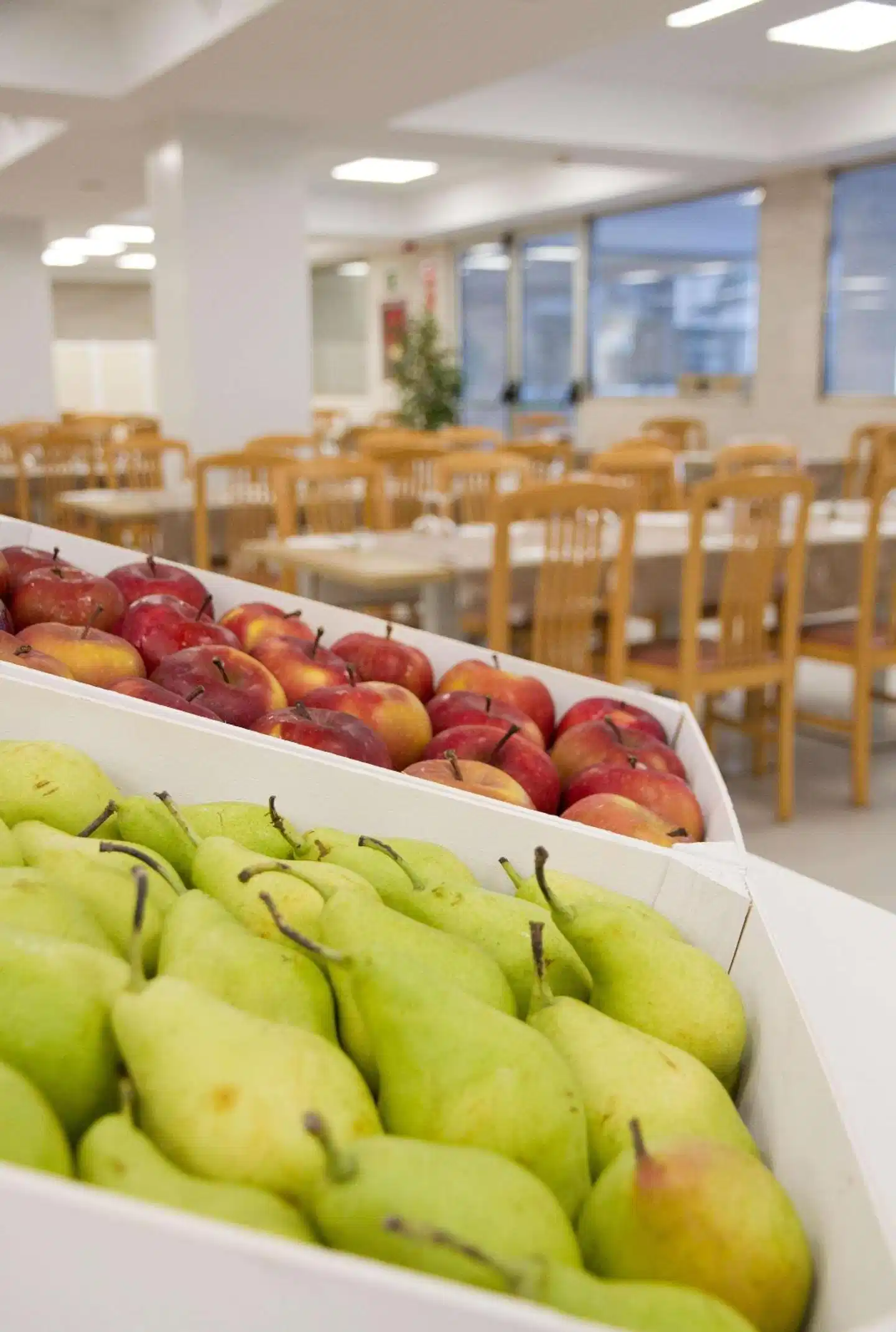 ALEGRIA Fenals Mar Restaurant