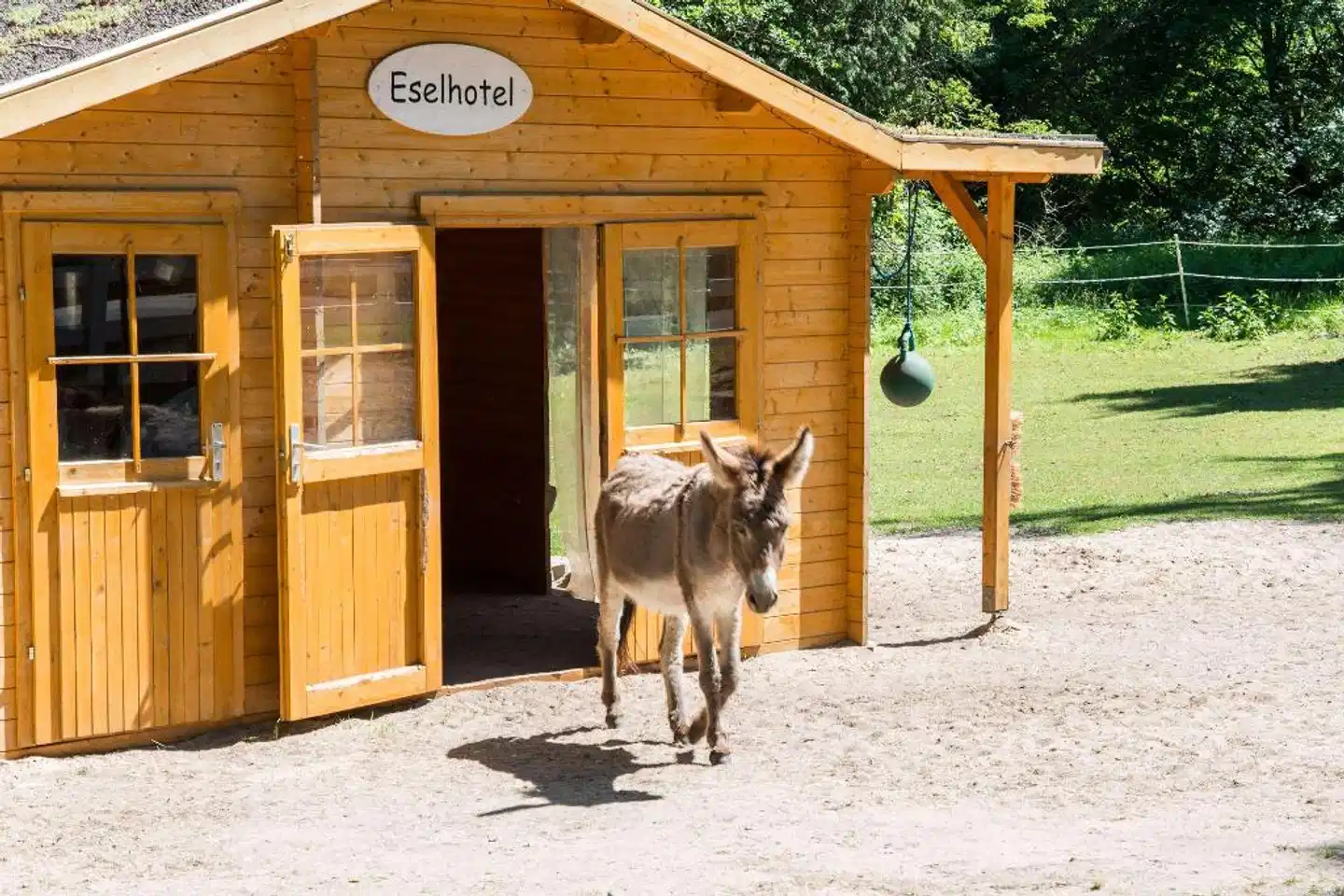 Best Western Seehotel Frankenhorst Tiere