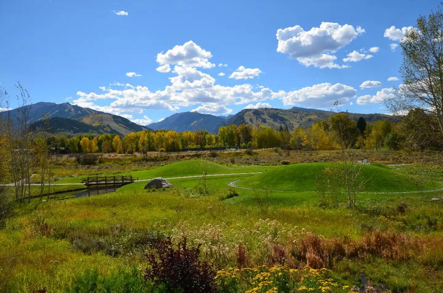 Aspen Meadows Resort Landschaft