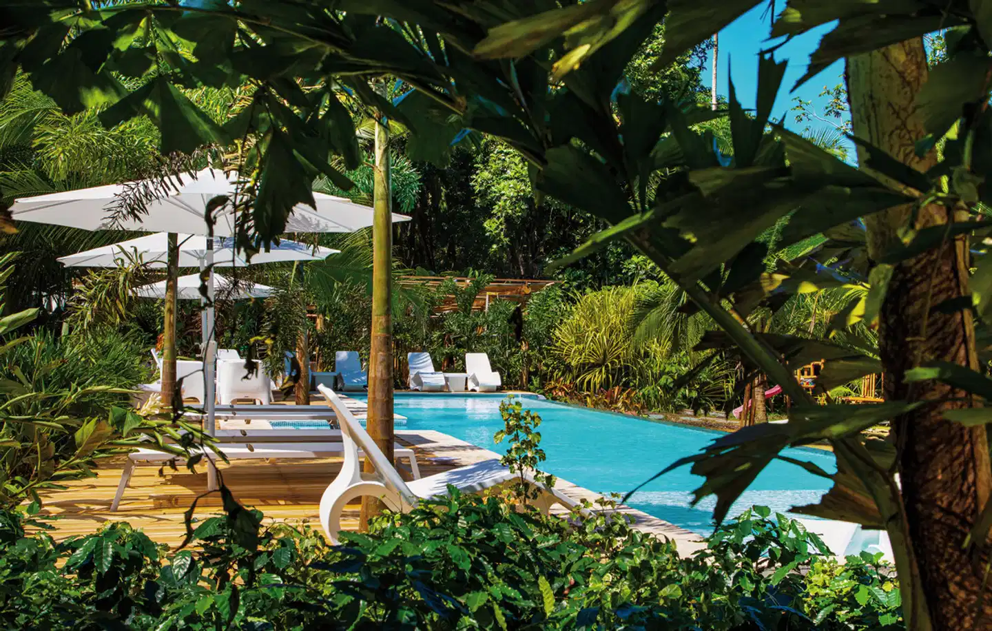 Le Caméléon Boutique Hotel Pool