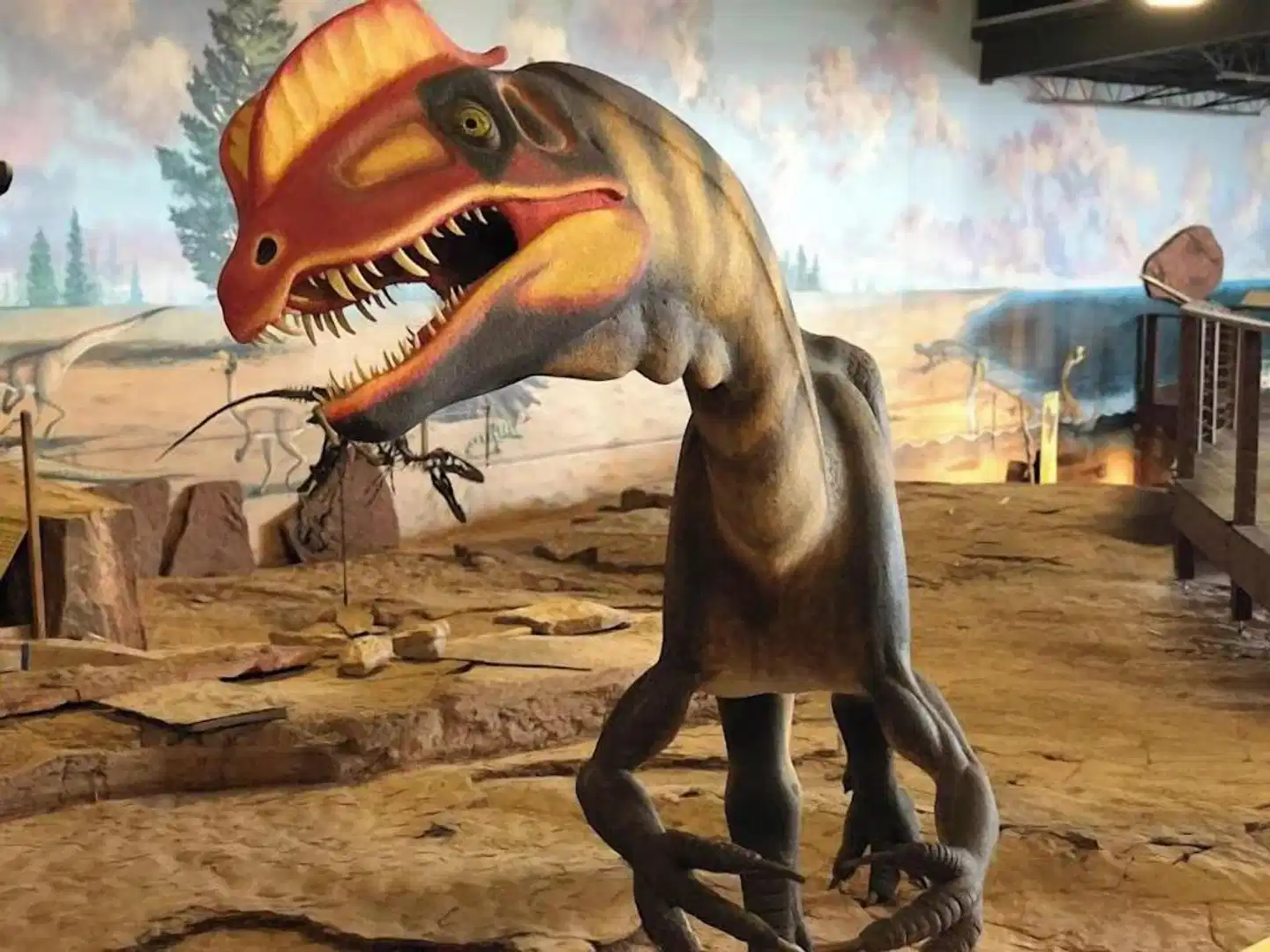 Clarion Suites St George - Convention Center Area Sport und Entertainment