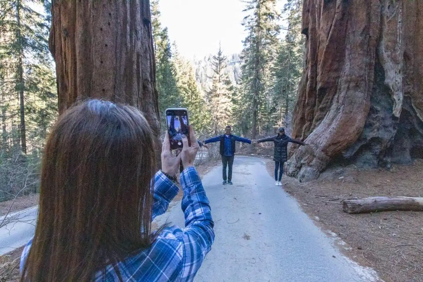 Visalia Marriott at the Convention Center Wohnbeispiel