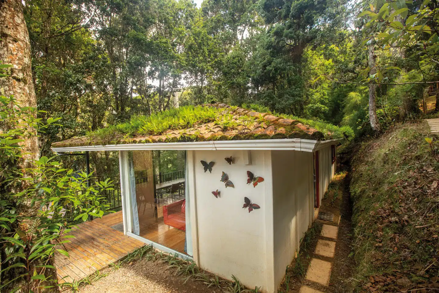 Dantica Cloud Forest Lodge Garten