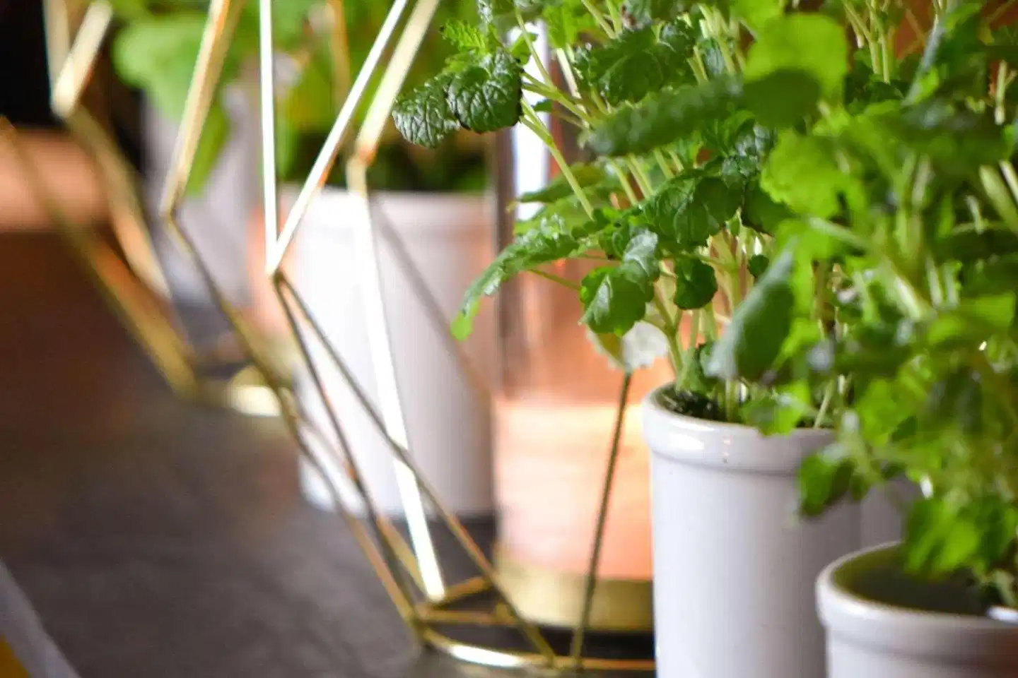 Clarion Collection Home Hotel Grand Bodo Strand