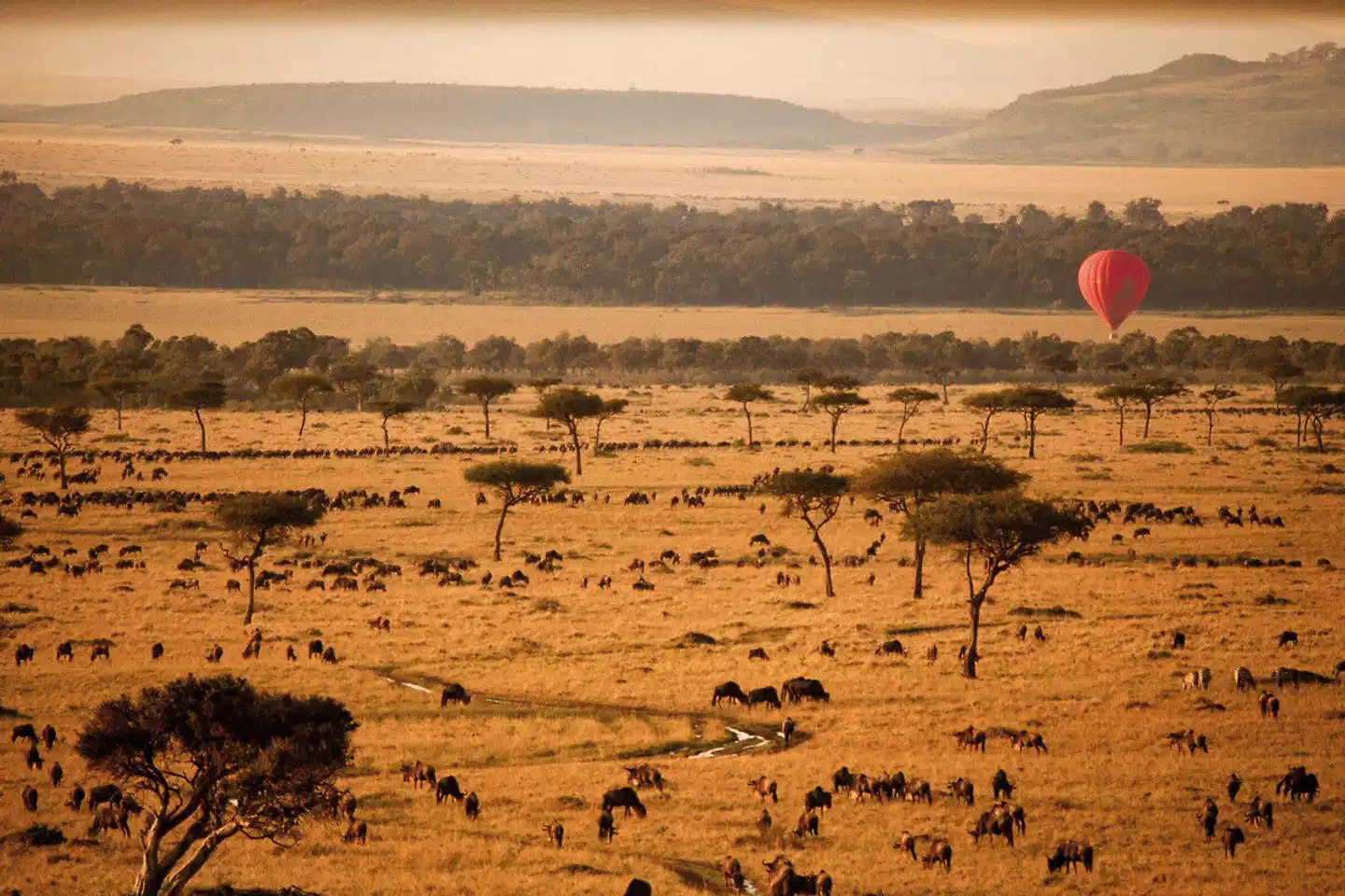 Sanctuary Olonana Lodge Landschaft