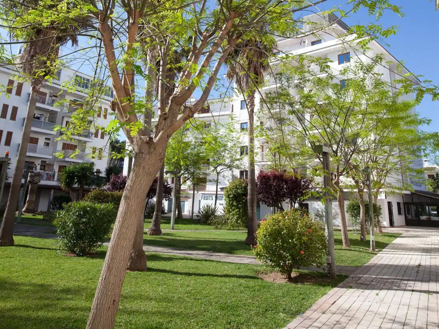 Lime Tamarindos Garten