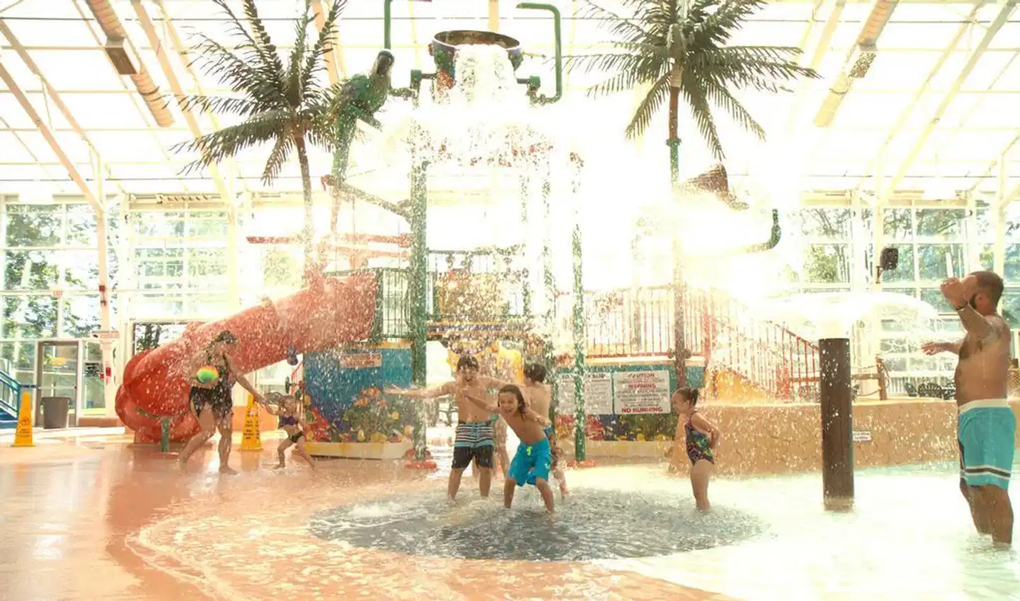 Americana Waterpark Resort & Spa Tiere