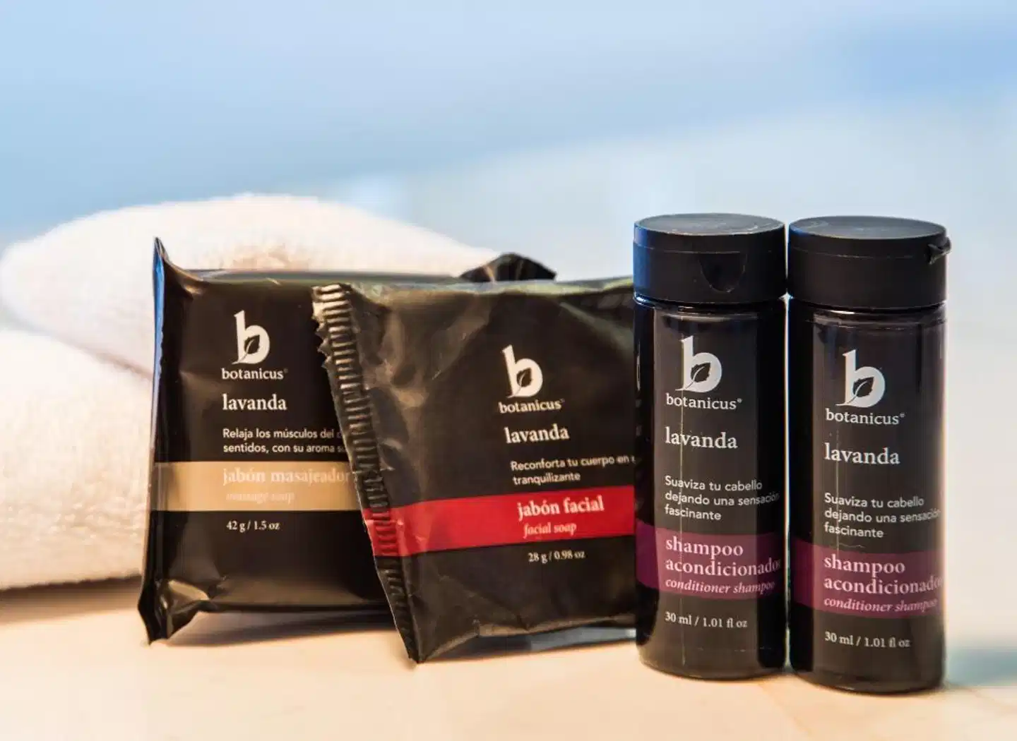 Fiesta Inn Aeropuerto CD Mexico Aussenansicht