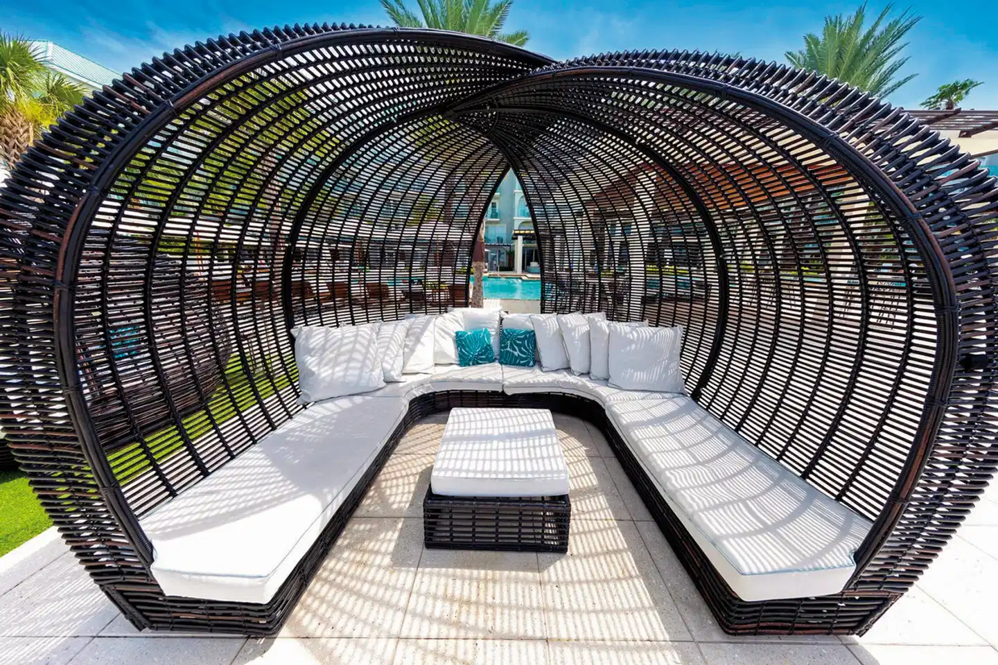 Westin Grand Cayman Seven Mile Beach Resort & Spa Tiere